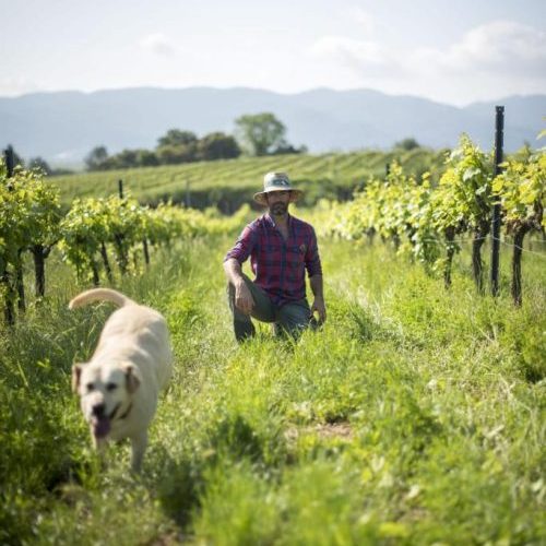 Celler Finca Parera, Emari, Emariwines,