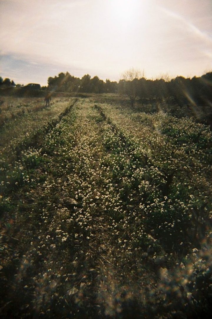 La Furtiva, Emari Wines