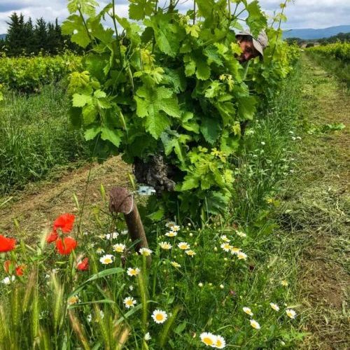 Les Maoù, Emari Wines, vino Natural